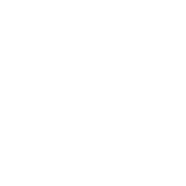Programming Logo