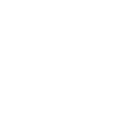 Programming Logo