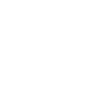 Programming Logo
