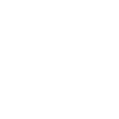 Programming Logo