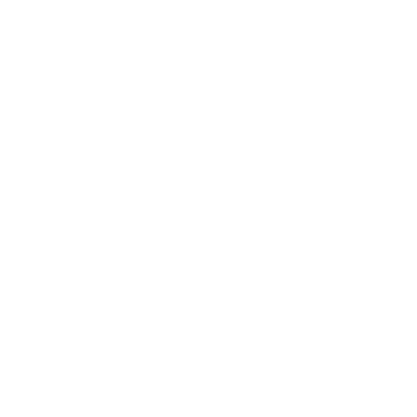 Programming Logo