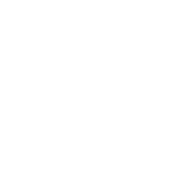 Programming Logo