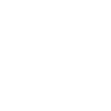 Programming Logo