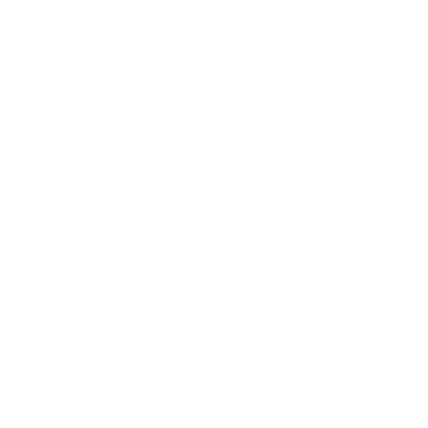Programming Logo