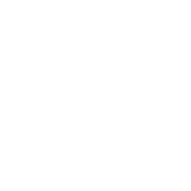 Programming Logo