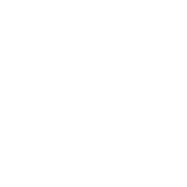 Programming Logo