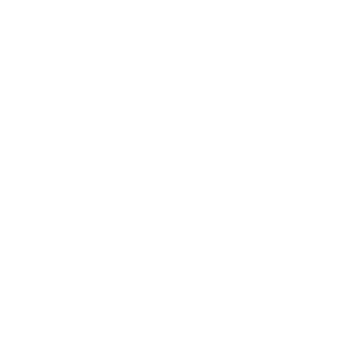 Programming Logo