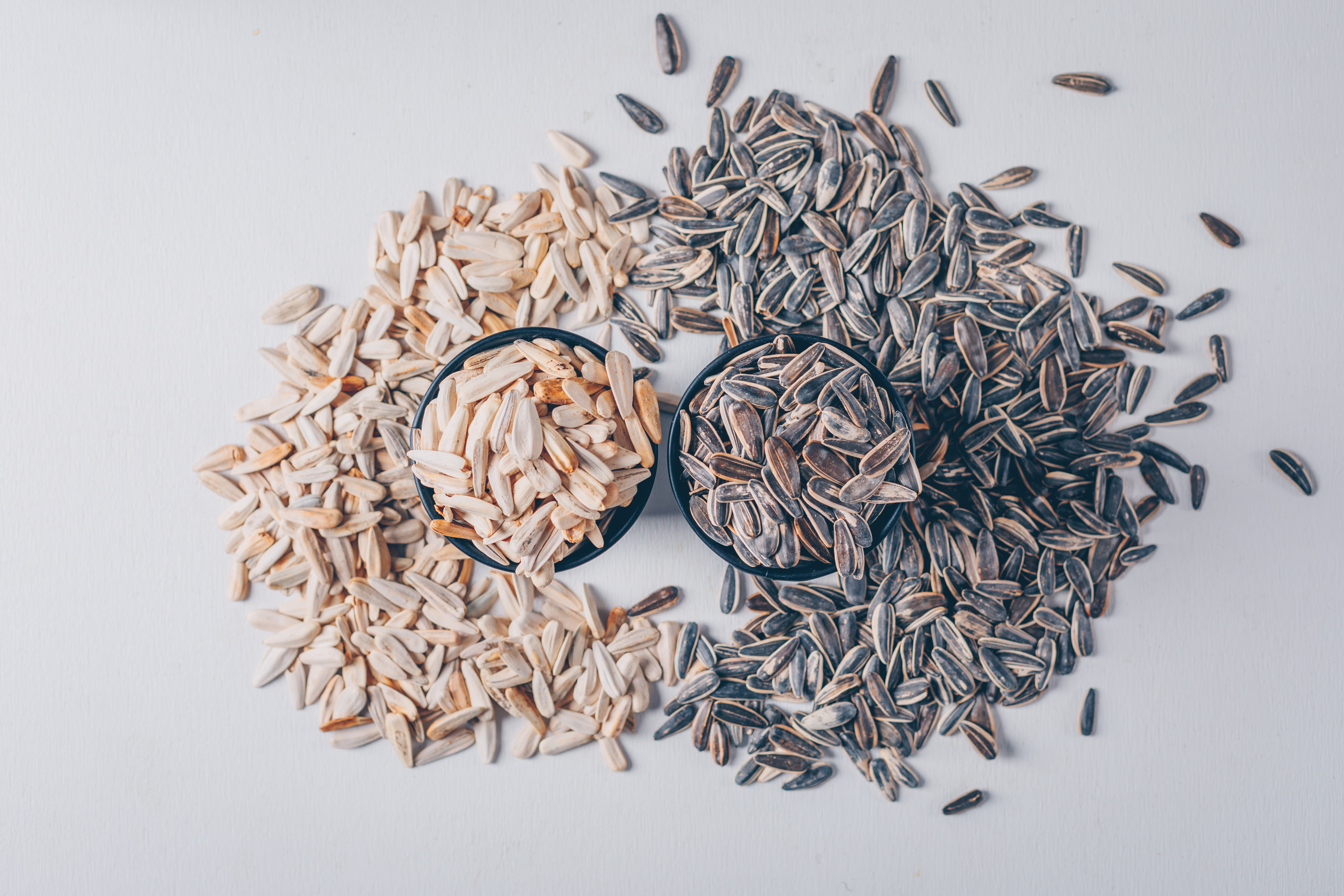 Bird Food 1