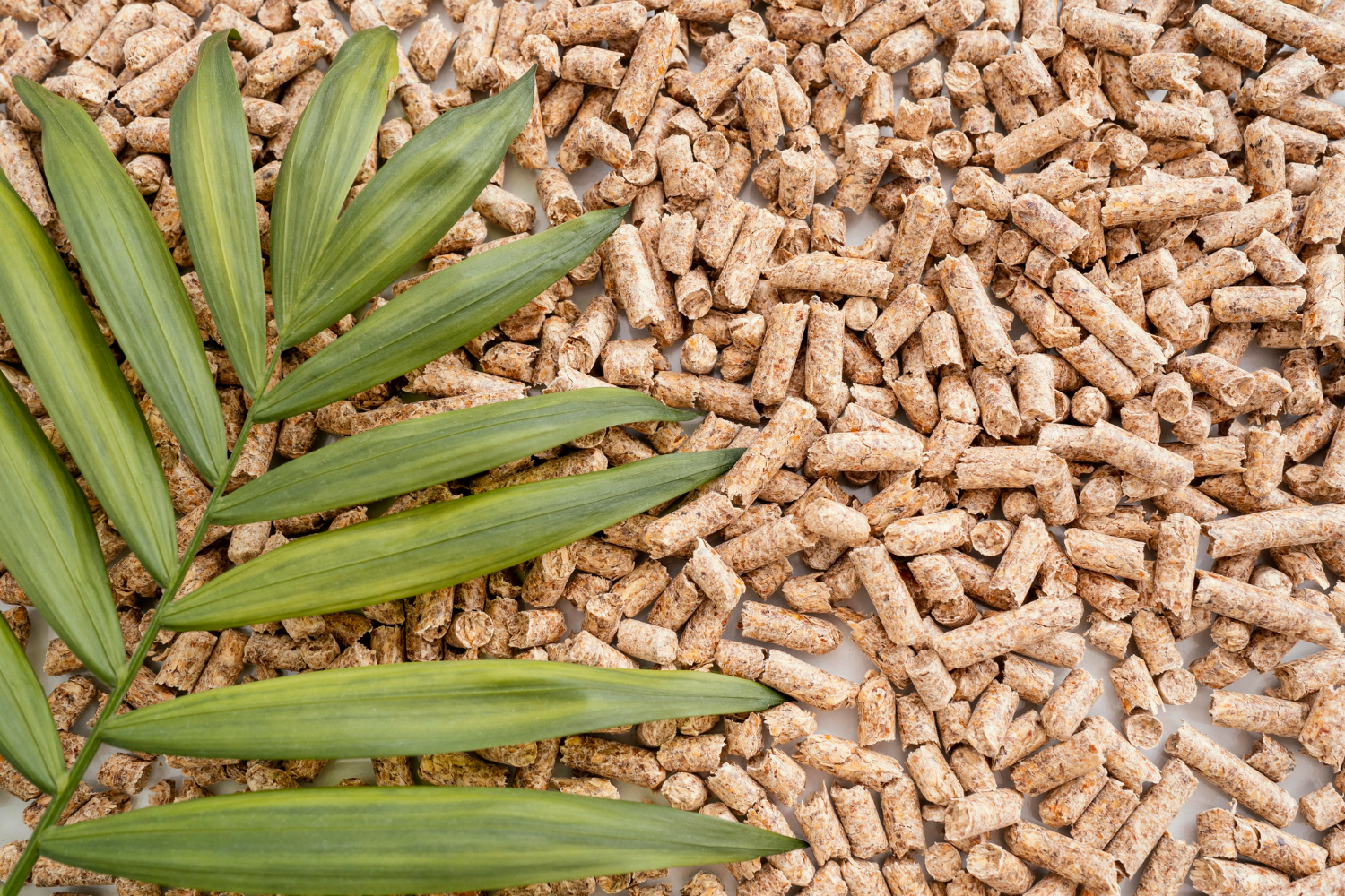 Bird Food 2
