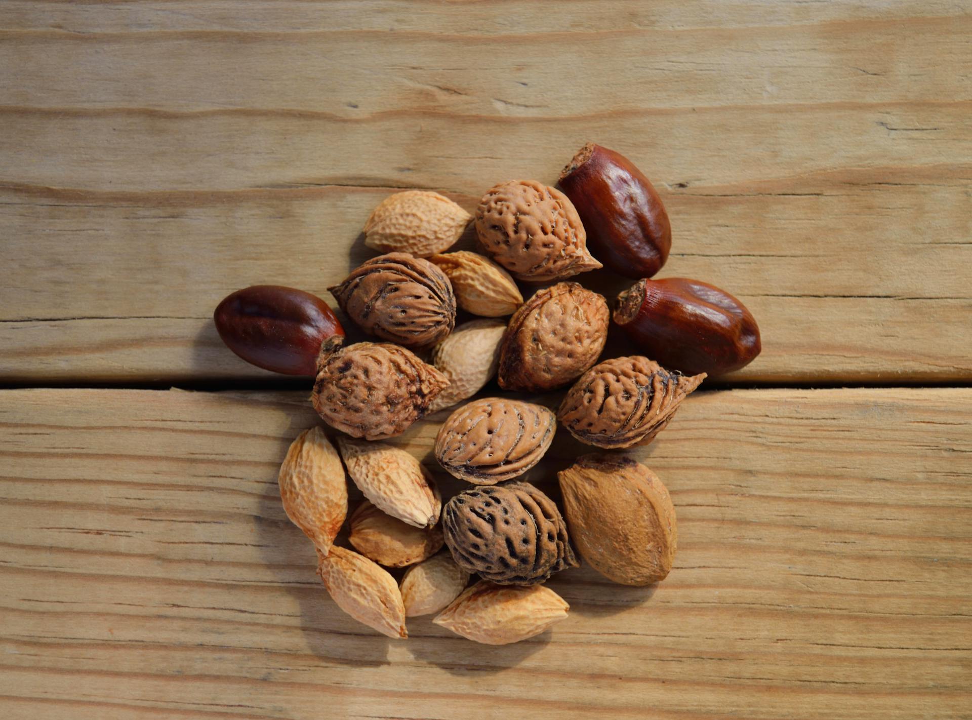Bird Food 5