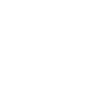Programming Logo