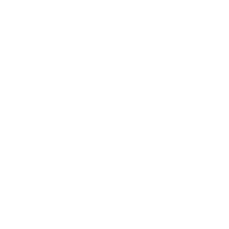 Programming Logo