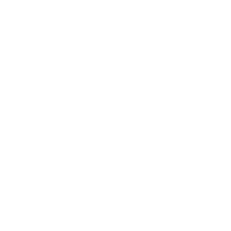 Programming Logo