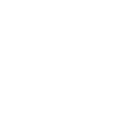 Programming Logo